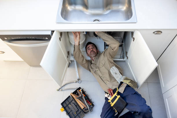 Best Same-Day Plumbing Service  in Lutz, FL