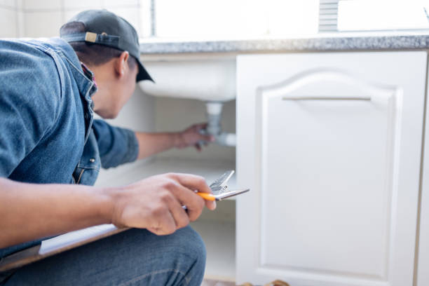 Best Affordable Plumbing Services  in Lutz, FL