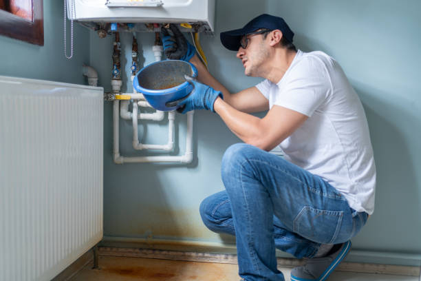 Best Residential Plumbing Services  in Lutz, FL